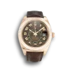 Rolex Sky-Dweller 326135