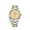 Rolex Datejust 126333 41mm Golden (Oyster) Motif Dial